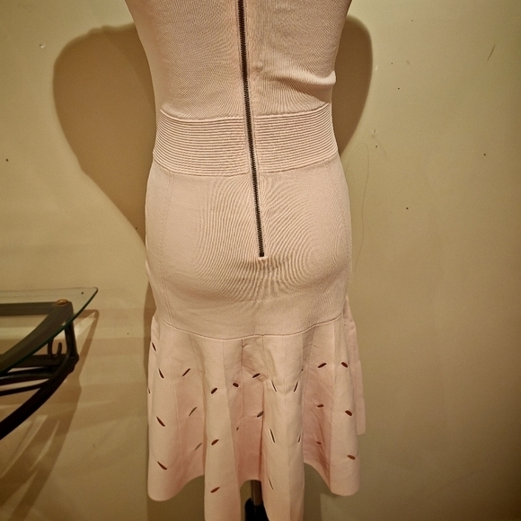 Ted Baker Women's Full Needle Stitch Detailed Hem Mini Dress in Pink, Ambyr-0230 - Picture 14 of 14